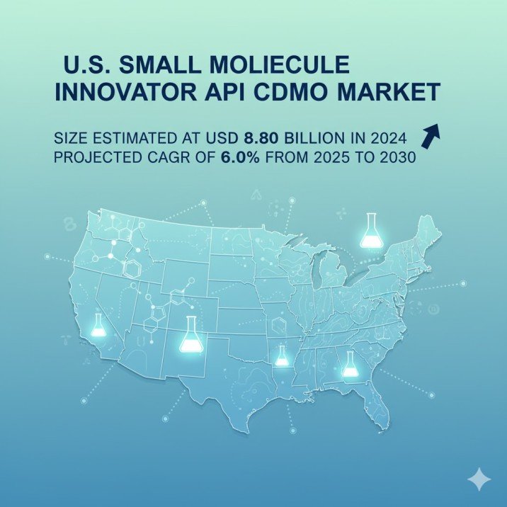 Us Small Molecule Innovator Api Cdmo Market 1