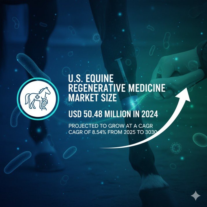 Us Equine Regenerative Medicine Market 1 Us Equine Regenerative Medicine Market 1